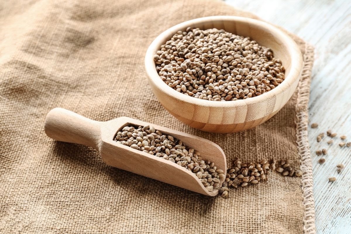 Soy vs. Hemp Protein What's the Difference?